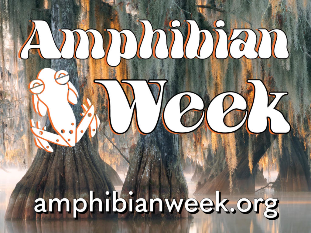 Amphibian Week Logo
