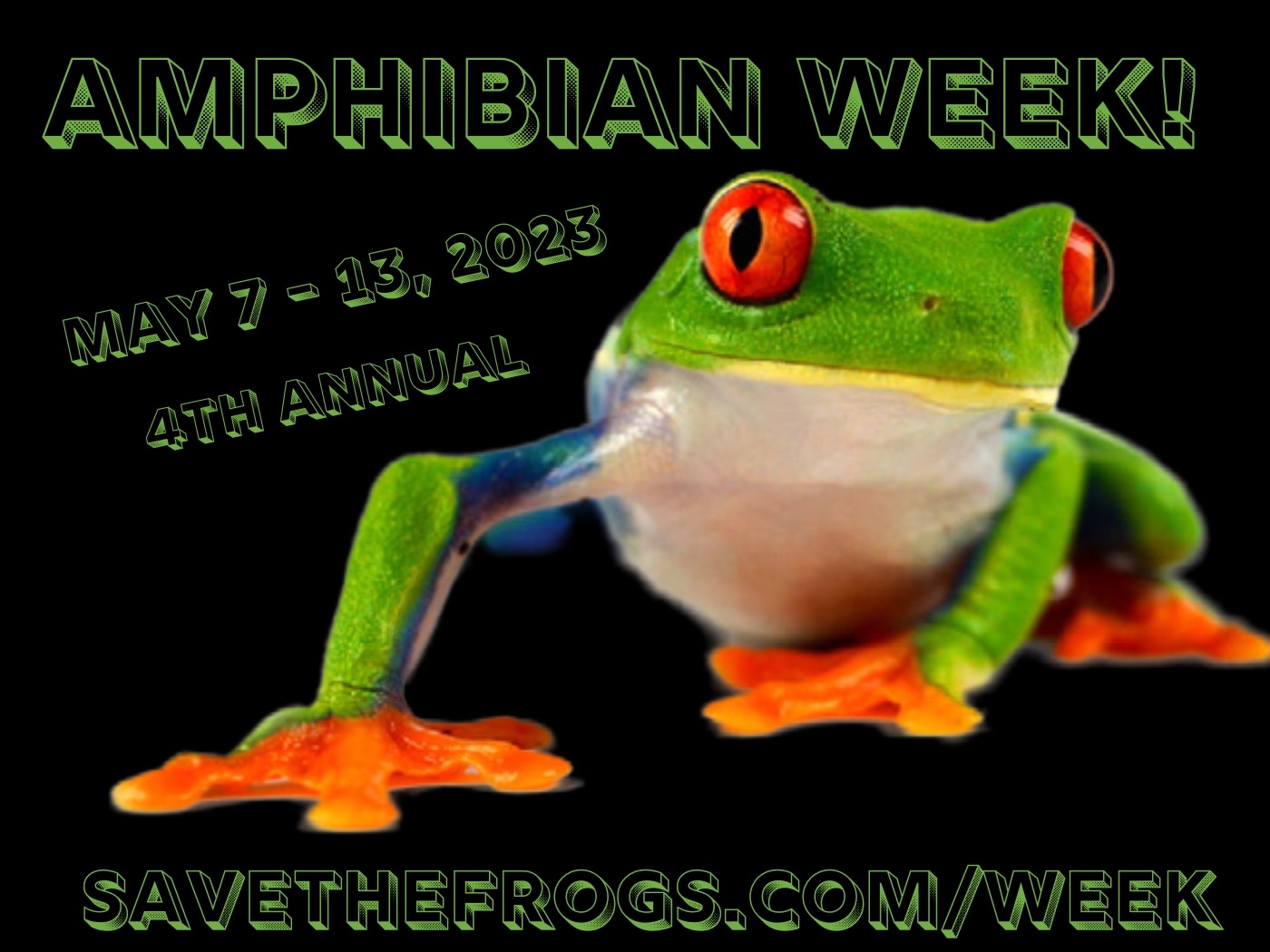 Amphibian Week 2022